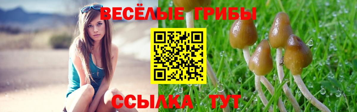 Псилоцибиновые грибы Cubensis  Вход с VPN  Псилоцибиновые грибы MAGIC MUSHROOMS  Лесной 